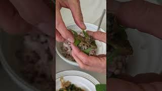 [햇빛장] 파주여행 헤이리마을 하늘광장 '햇빛장' #임사장이간다 #평화마을짓자 #밀물소이 #우렁이강된장 #두포리사람들 #온도26 #롤러코스터 #카니발 #이적 #김동률