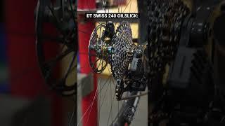 MTB Hub Sound Comparison ASMR  #mtb #bike