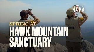 Hawk Mountain Sanctuary Spring 2023