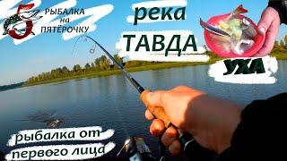 Река Тавда. Рыбалка от первого лица