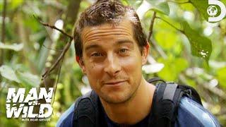 Bear Grylls Reveals His Best Jungle Survival Tips | Man vs. Wild | Discovery