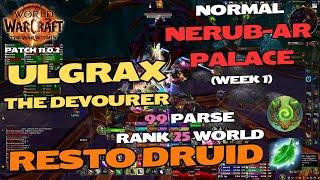 Normal Ulgrax the Devourer - Resto Druid - Nerub-ar Palace - World of Warcraft The War Within