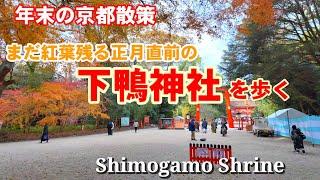 12/26(木)年末の京都散策 まだ紅葉残る正月直前の下鴨神社/糺の森/河合神社を歩く【4K】Shimogamo Shrine