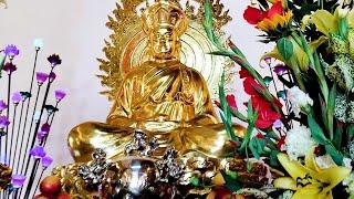 Ngày 11 Âm Tụng Kinh Sám Hối Phật Rất Linh Thiên Phù Hộ Tiền Đến Ào Ào Gia Đạo Hưng Vượng !
