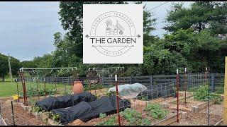 The first year of our church Garden was blessed!  Southall Church