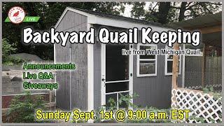 Backyard Quail Keeping - Coturnix Corner's Morning Musings