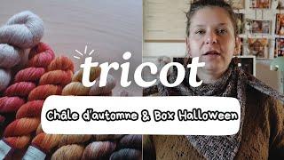 Châle d'automne, nouvel encours et box d'Halloween | Tricot Ep 139