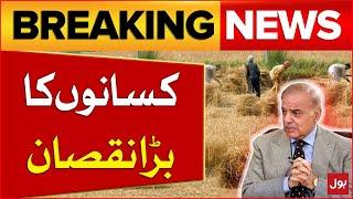 Wheat Farmer Big Loss | PM Shehbaz Sharif Angry Over Wheat Scandal | Inflation in Pakistan