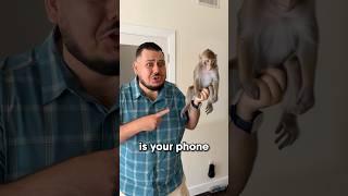 Is THIS Your Phone??  