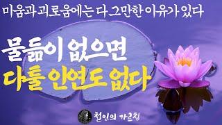 존재를 있는 그대로 보라 | 저항하지 말고 담담히 받아들여야 한다. 이유가 있지만 한편으론 의미도 있는 '고통의 시간' |불교 철학 오디오북 부처님말씀 석가모니 지혜 ASMR