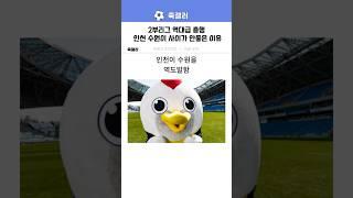 인천하고 수원이 서로 으르렁 대는 이유ㅋㅋ