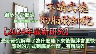 不講武德的脂肪細胞讓你無止盡的復胖