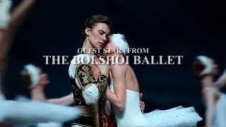 St Petersburg Ballet Theatre - SWAN LAKE, featuring guest stars from the Bolshoi Ballet!