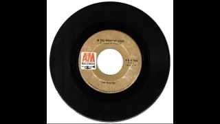The Wanted - In the Midnight Hour + Here to Stay (Rare Garage Rock Psyche)