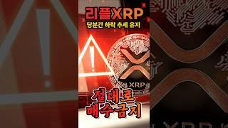 리플 XRP 지금은 절대 사면 안 되는 이유