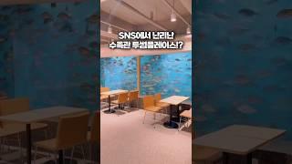 SNS에 이미 다 떴다는건 당신이 늦었다는 증거!  주말 방문은 주의하세요️ #경주여행 #경주오션뷰 #오션뷰카페 #투썸플레이스 #감포투썸플레이스