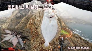 종선타고 워킹하는 조사..