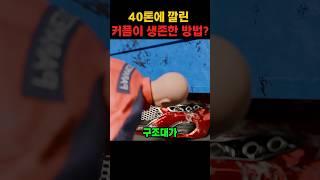 40톤에 깔린 커플이 생존한 방법?