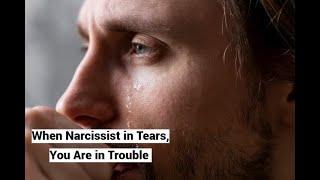 When Narcissist in Tears, You Are in Trouble (Frustration-Aggression)