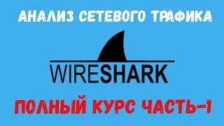 WireShark Полный курс Часть-1 #wireshark #анализтрафика