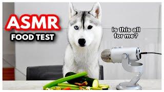 ASMR Dog Reviews Different Foods | ASMR Husky | SKAYASMR