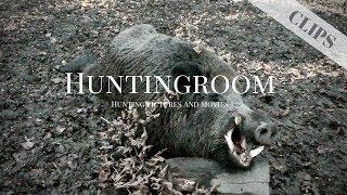 Jagd auf einen Goldmedaillen Keiler 2019! HUNTINGROOM Clips #7