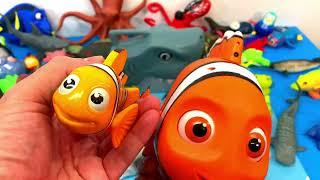 Sea Animal Toys Unboxing for Kids