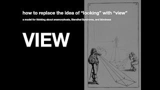 From the Look to the View: A Thesis in Images