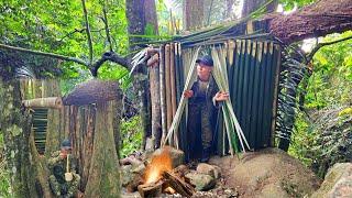 Building a Shelter Under a Tree. An Essential Skill for Outdoor Adventures