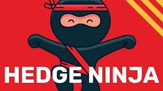 Hedge Ninja: The ONLY Trading Robot You Need