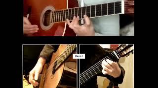 Gitaar Hoogeveen (Sylvia Molenberg) & Gitaar Assen (Joey Soplantila) - Online Collab Classic Guitar