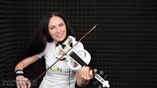 STAGG EVN X 4/4 доступная электроскрипка The Cranberries Zombie Violin cover