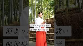 溜まった邪気を祓い龍神様と繋がる音#スピリチュアル #スピリチュアルメッセージ #スピリチュアルカウンセラー #浄化 #波動 #運気 #邪気祓い