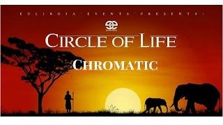 Circle Of Life: Chromatic