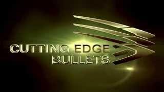 PHD Ammo by Cutting Edge Bullets