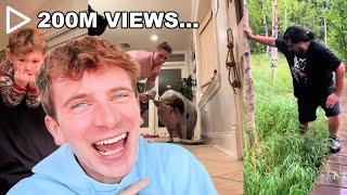 SHOWING YALL MY FAVORITE TIKTOKS * im in tears *