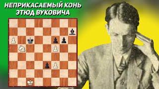 Неприкасаемый конь. Шахматный этюд. Владимир Вукович. Издание "Шаховски весник", 1947 год. 1-й приз.