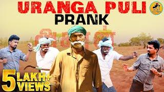 Uranga Puli Prank | Under Taker Vs Urunga Puli | Tamil Prank | Katta Erumbu | Fun Panrom