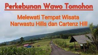 Objek Wisata Tomohon 2023 | Perkebunan Wawo Tomohon | Narwastu Hills | Cartenz Hills