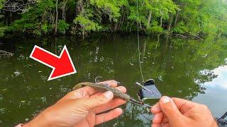 The BUZZBAIT HACK 90% of Fishermen Don’t Know!