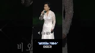 이미자 #살아있는 가로수 #옛날노래 #대중가요 #트롯트인기가요