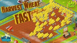 Hay Day-How to Harvest Wheat FAST!! Fast Harvest Method EXPLAINED!!