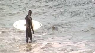 Sea lion attacks surfer (warning graphic content)