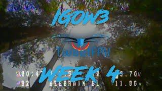 IGOW3 Week 04 -  Gemfan Split-S