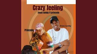 Crazy feelings (feat. Princedo)