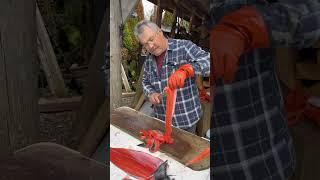 Cutting salmon strips for dried fish