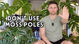 10 PLANTS THAT DON'T NEED A MOSS POLE