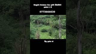 Kandy marassana Land For sale