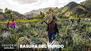 Cómo se aprovechan los restos de las piñas | Basura del mundo | Insider Business