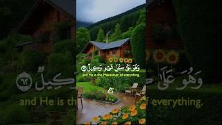Quran Recitation beautiful lines #quranrecitation #beautiful #quran #love #afseekers